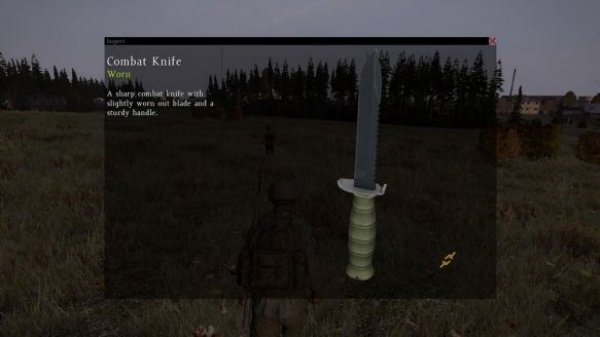 DAYZ