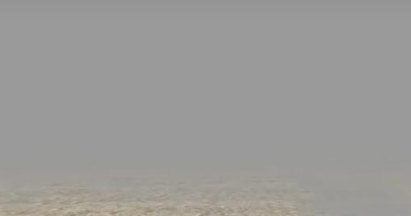 约翰的农场手机版