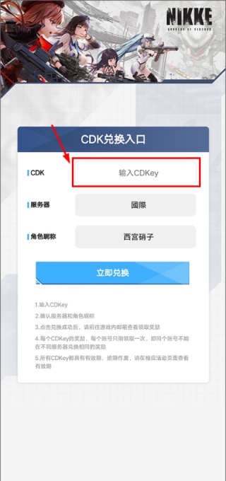 胜利女神妮姬国际服