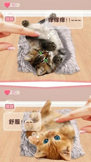 猫狗语言翻译通