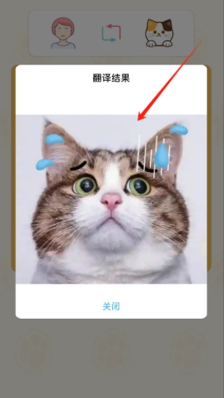 猫狗语言翻译通