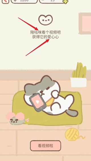 遇见你的猫国际服