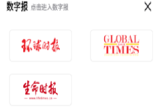 环球时报电子版