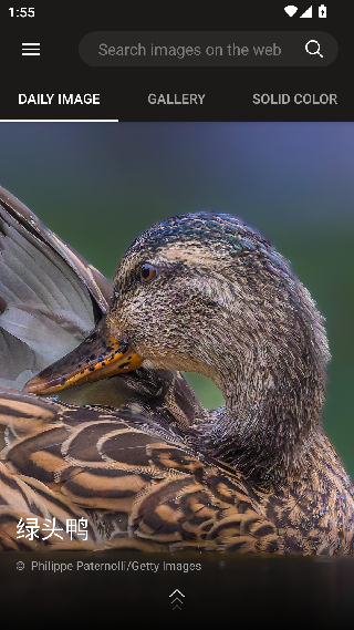 必应壁纸