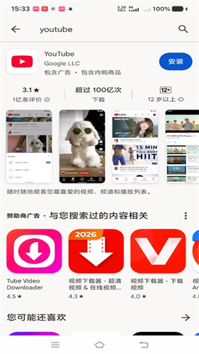 谷歌商店国际版