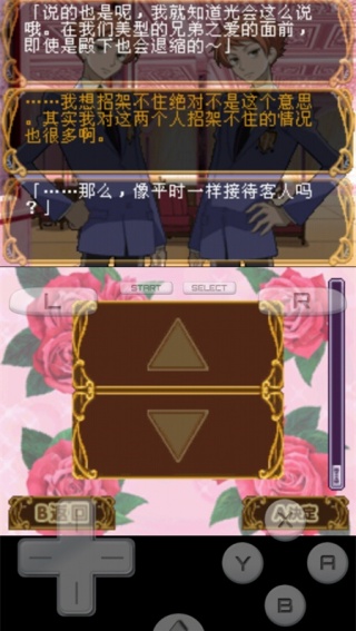 樱兰高校男公关部