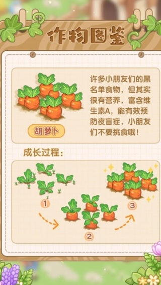 最终的梦幻岛