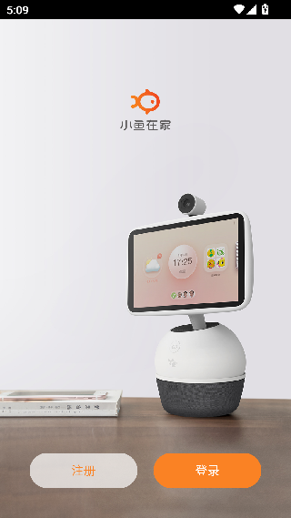 小鱼在家