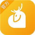 小鹿情感
