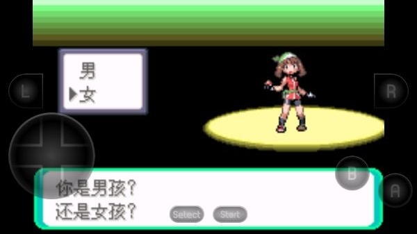 口袋妖怪究极绿宝石失落之古遗