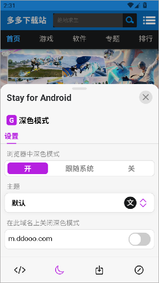 IE浏览器