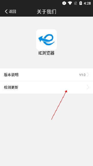 IE浏览器