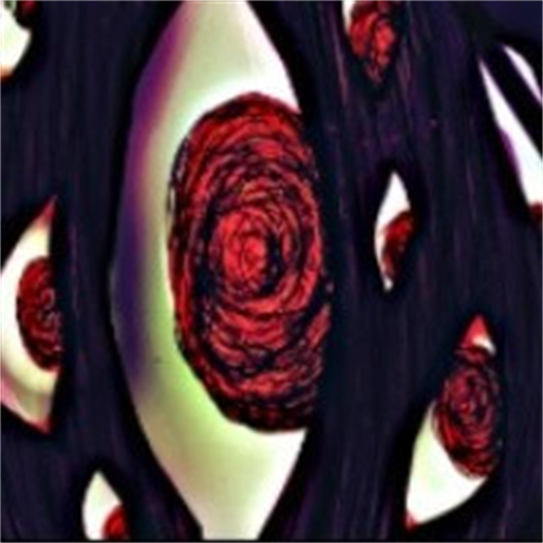 脑叶公司汉化版