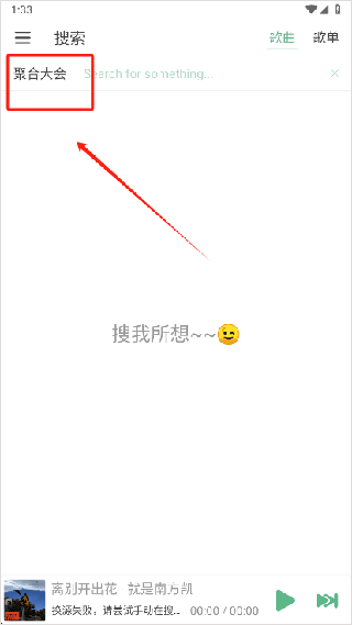 洛雪音乐安卓版