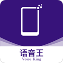 语音王升级版