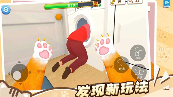 猫咪养成计划