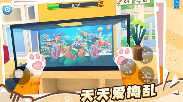 猫咪养成计划