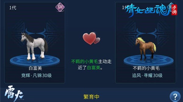 倩女幽魂小米渠道服