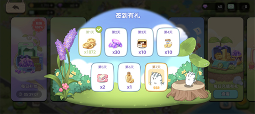 梦幻之城国际服