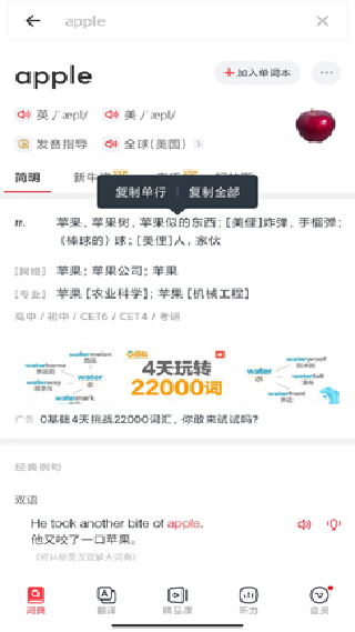 网易有道词典