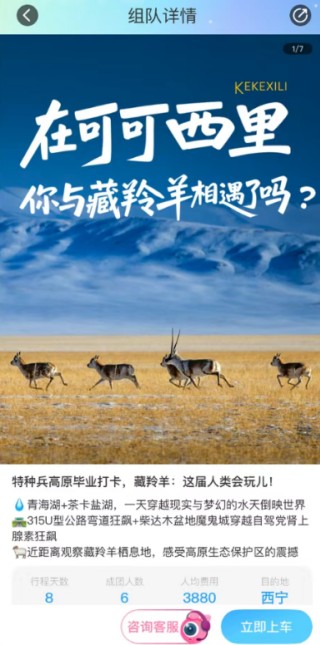 墨鱼旅行