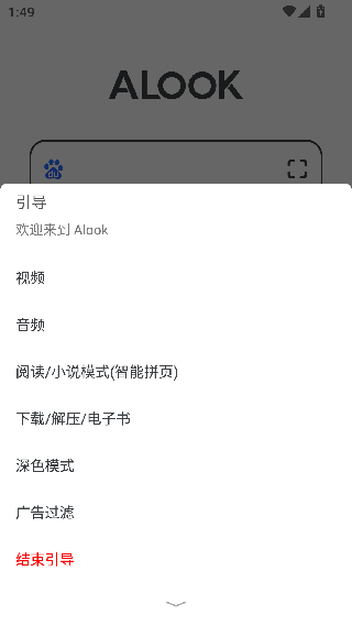 Alook浏览器安卓版