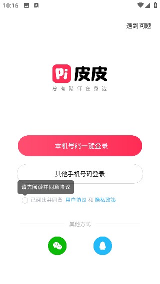 皮皮陪玩