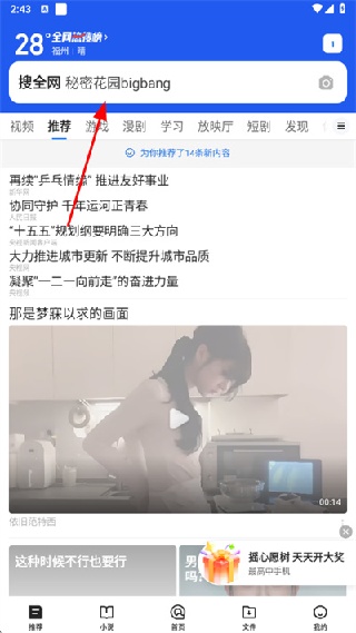 枫树浏览器手机版