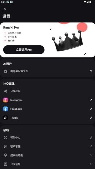 Remini油画中文版