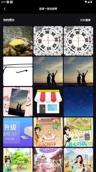 Remini油画中文版