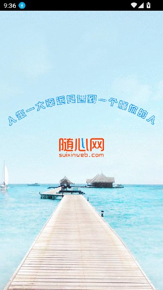 随心网