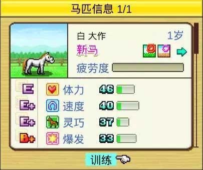 顶级跑马牧场中文版