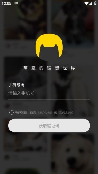 句苗岛