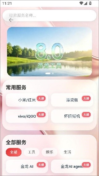 游龙安全护盾专业版
