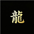 游龙安全护盾专业版